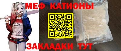 индика Кингисепп