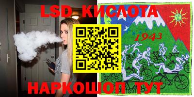 индика Кингисепп