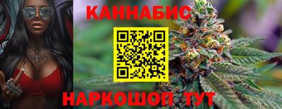индика Кингисепп
