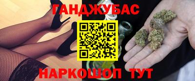 индика Кингисепп