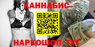 индика Кингисепп
