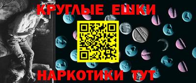 индика Кингисепп