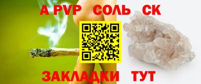 индика Кингисепп
