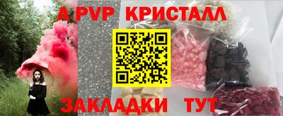 индика Кингисепп