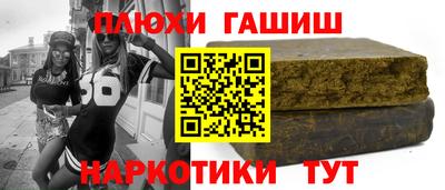 индика Кингисепп