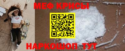 индика Кингисепп